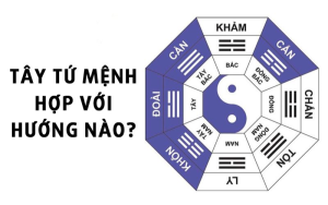 Cách chọn hướng Tây Tứ Trạch chuẩn nhất để làm nhà