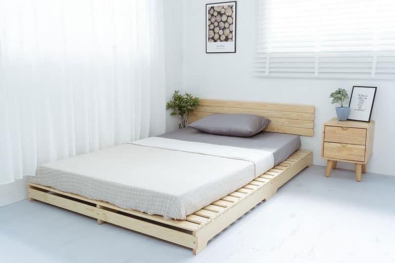 Gỗ tự nhiên là gì? Đặc điểm các loại gỗ tự nhiên dùng trong nội thất